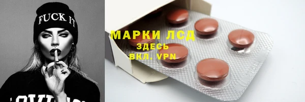 прущие грибы Вязьма