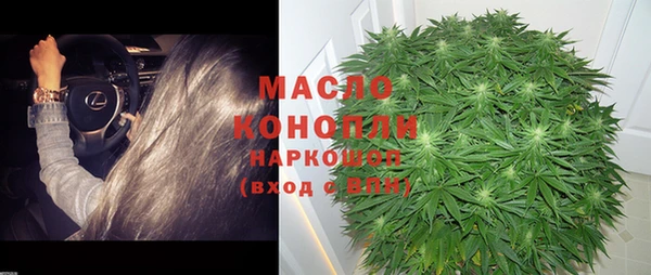 прущие грибы Вязьма