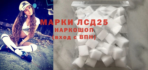 прущие грибы Вязьма