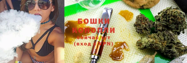 прущие грибы Вязьма