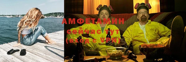 прущие грибы Вязьма