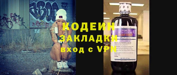 прущие грибы Вязьма
