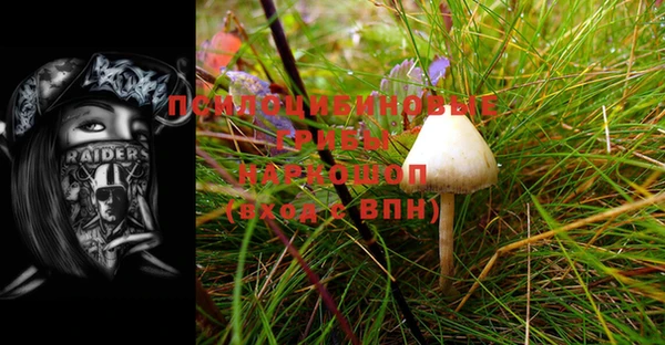 apvp Вязники