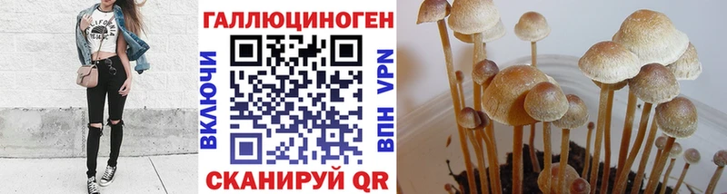 Галлюциногенные грибы Cubensis  Первомайск 